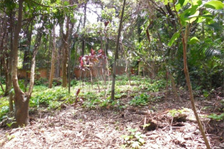 Terreno à venda em Alto da Boa Vista, São Paulo, SP