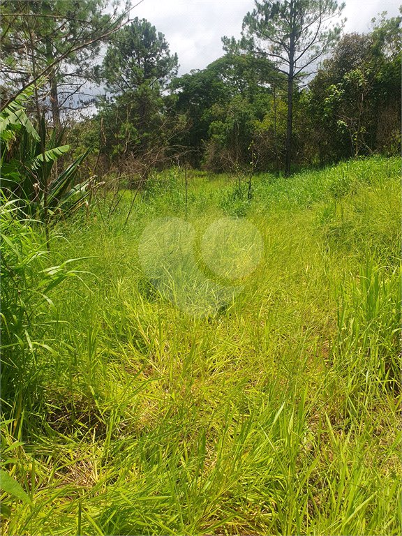 Terreno à venda em Vila Moraes, Mogi das Cruzes, SP
