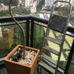Apartamento à venda com 4 suítes em Paraíso do Morumbi, São Paulo, SP