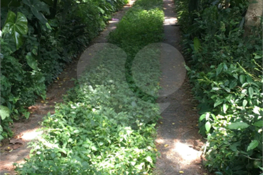 Terreno à venda ou para alugar em Horto, São Paulo, SP