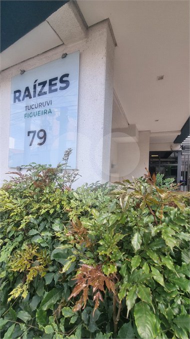 Studio à venda em Tucuruvi, São Paulo, SP