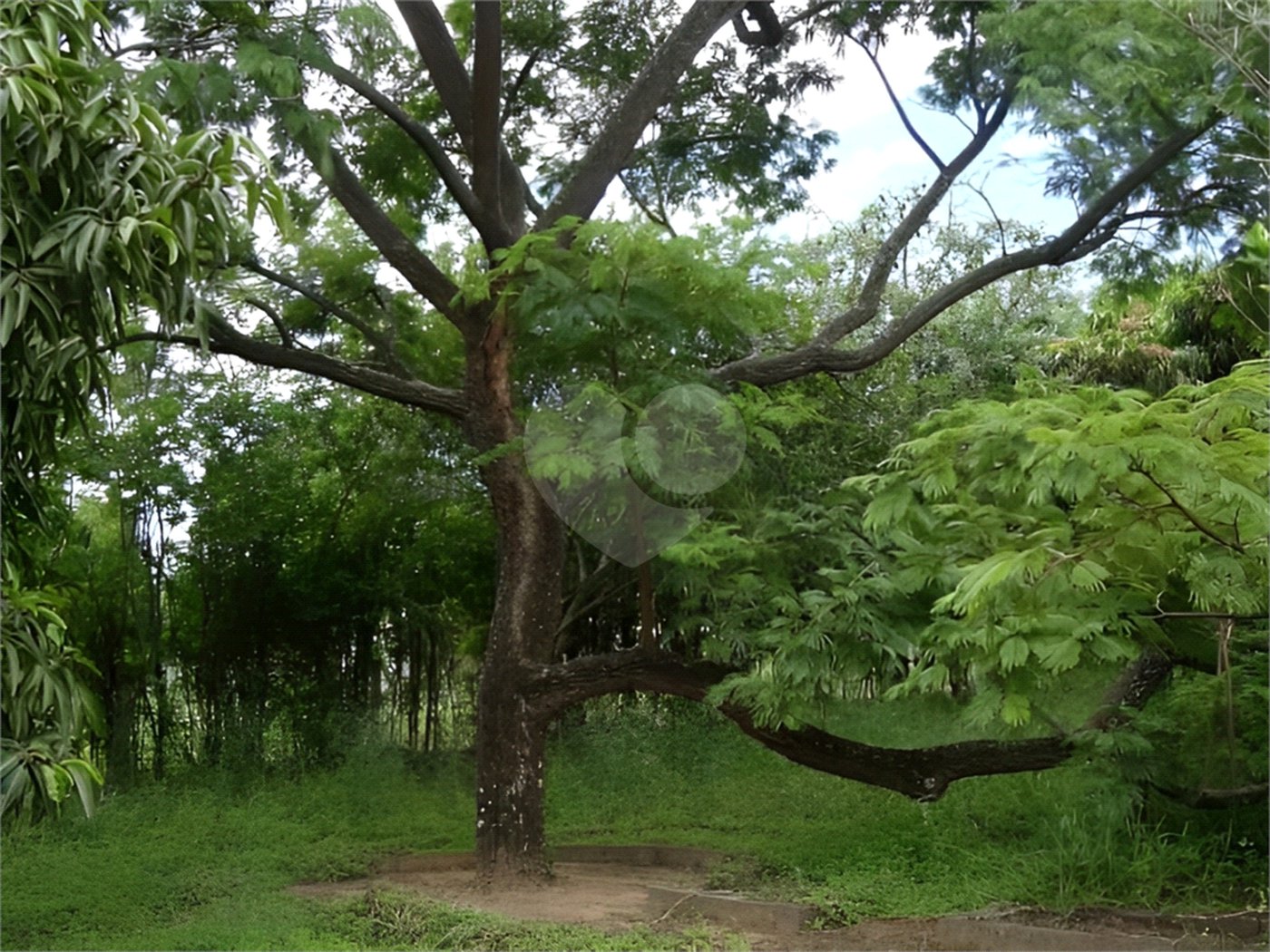 Chácara à venda com 3 quartos, sendo 1 suíte, em Morada do Sol, Sarapuí, SP