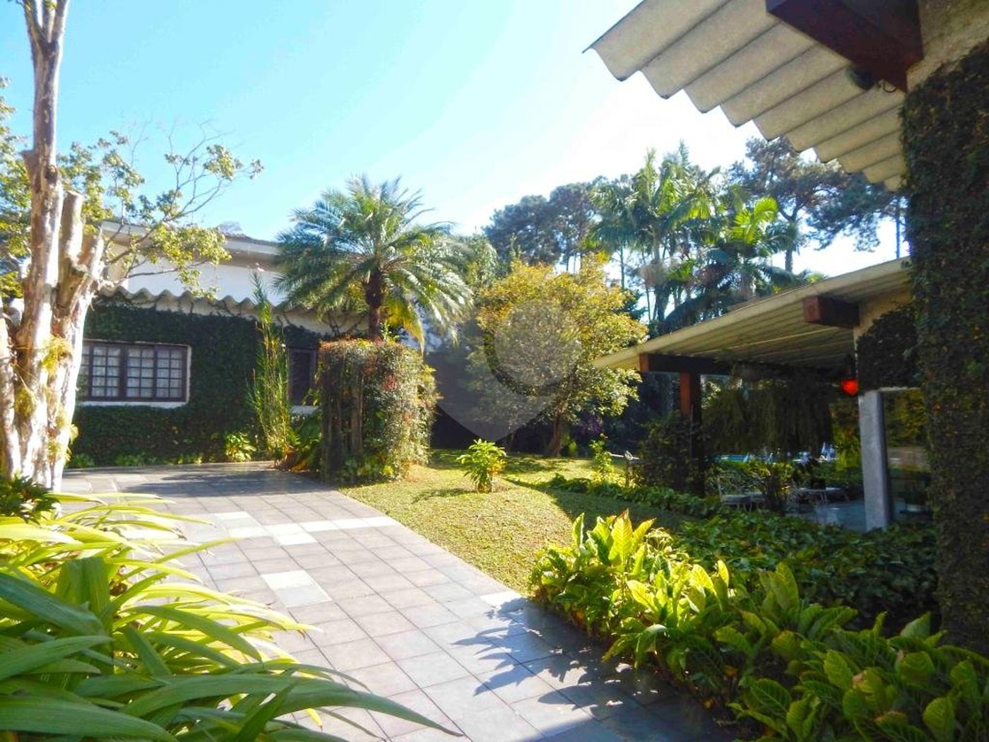 Casa Térrea à venda com 3 quartos, sendo 1 suíte,  em Chácara Monte Alegre, São Paulo, SP