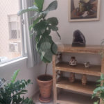 Apartamento à venda com 3 quartos, sendo 1 suíte, em Tijuca, Rio de Janeiro, RJ