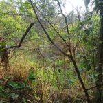 Terreno à venda em Bosque dos Eucalíptos, Atibaia, SP