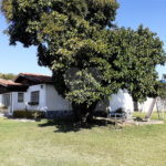 Casa à venda com 3 quartos em Vila Santa Rosália, São Roque, SP
