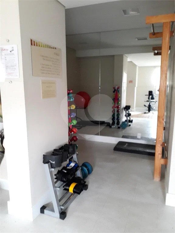 Apartamento para alugar com 3 quartos, sendo 1 suíte, em Tucuruvi, São Paulo, SP