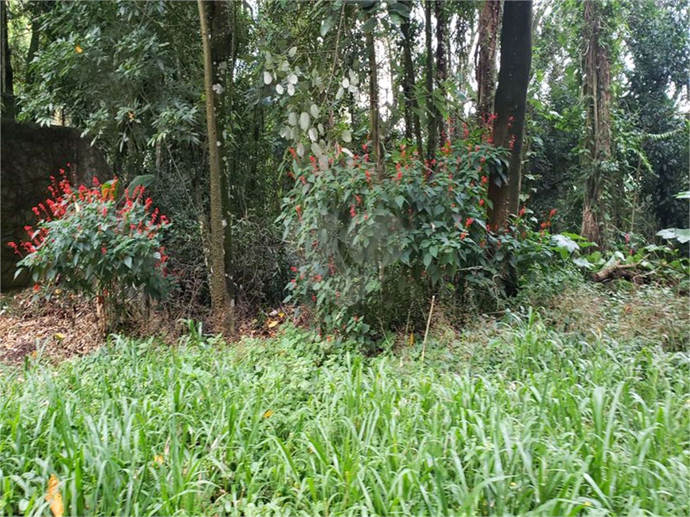Terreno à venda em Serra da Cantareira, Mairiporã, SP