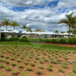 Terreno à venda no condomínio Ninho Verde II, Pardinho - SP