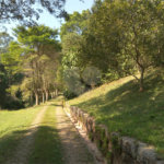 Sítio à venda em Chácara São João, Campo Limpo Paulista, SP
