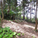 Terreno à venda em Alto da Boa Vista, São Paulo, SP