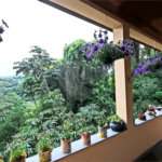 Sobrado à venda com 5 quartos, sendo 2 suítes,  em Serra da Cantareira, Mairiporã, SP