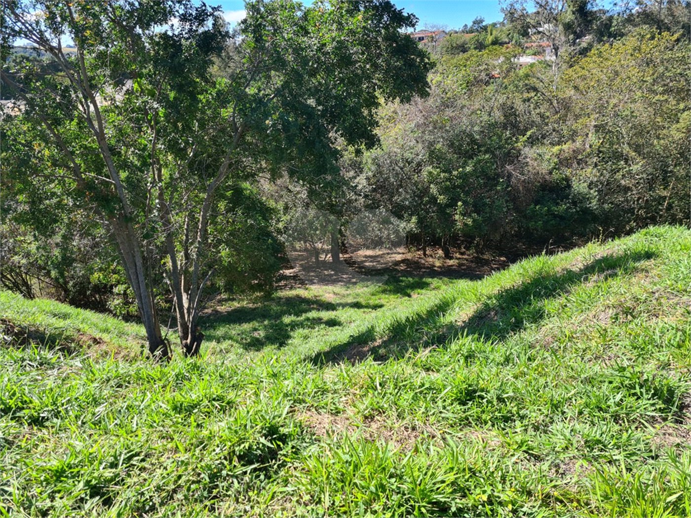 Terreno à venda em Bosque, Vinhedo, SP