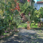 Casa à venda com 7 quartos, sendo 4 suítes, no condomínio Residencial Ypeville, Mairiporã - SP