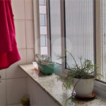 Apartamento para alugar com 2 quartos em Santana, São Paulo, SP