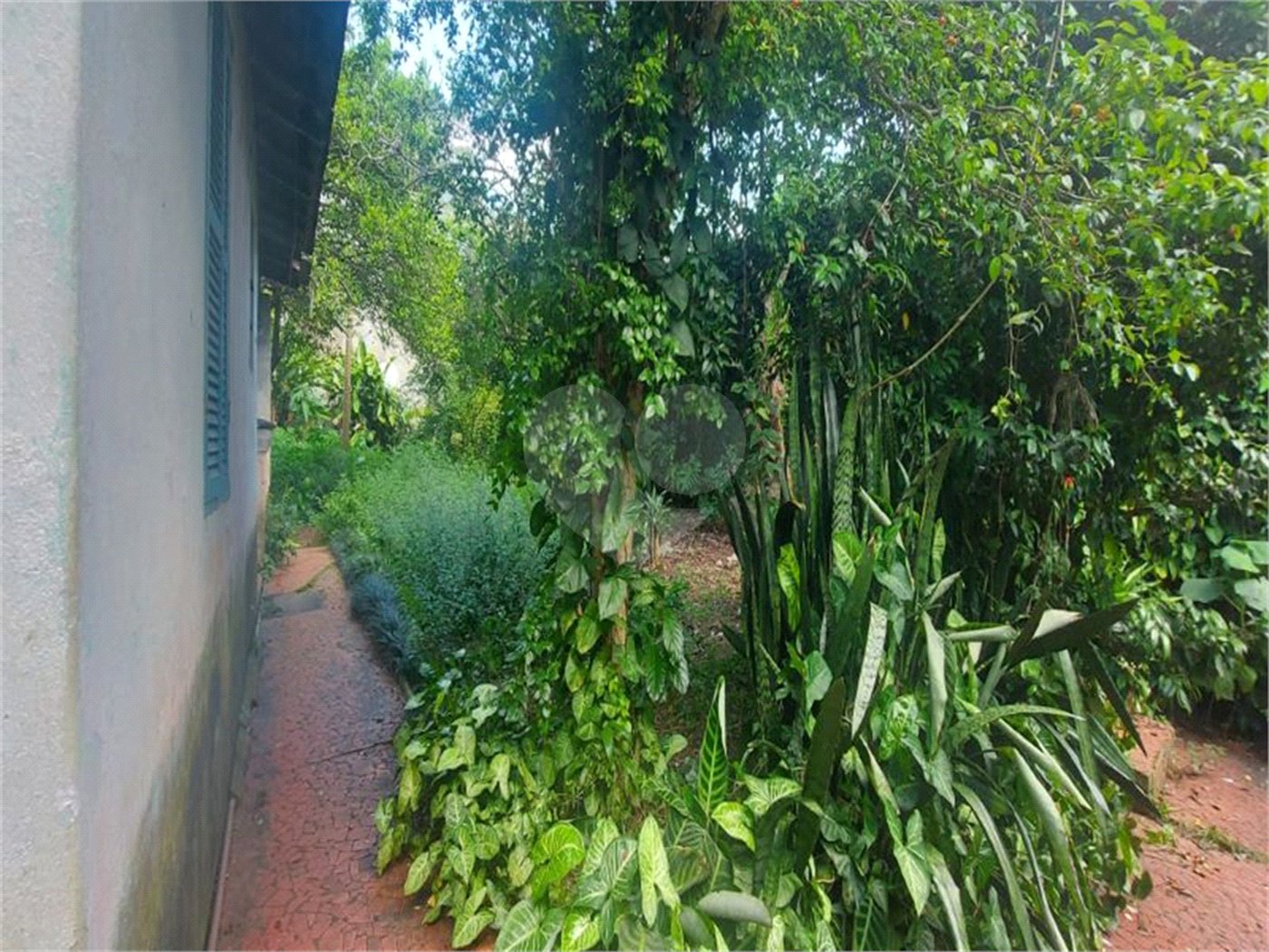 Casa Térrea à venda com 3 quartos, sendo 1 suíte, em Jardim Floresta, São Paulo, SP
