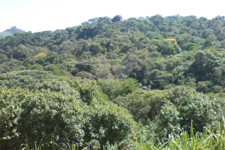 Sítio à venda com 1 quarto em Pirucaia, Mairiporã, SP