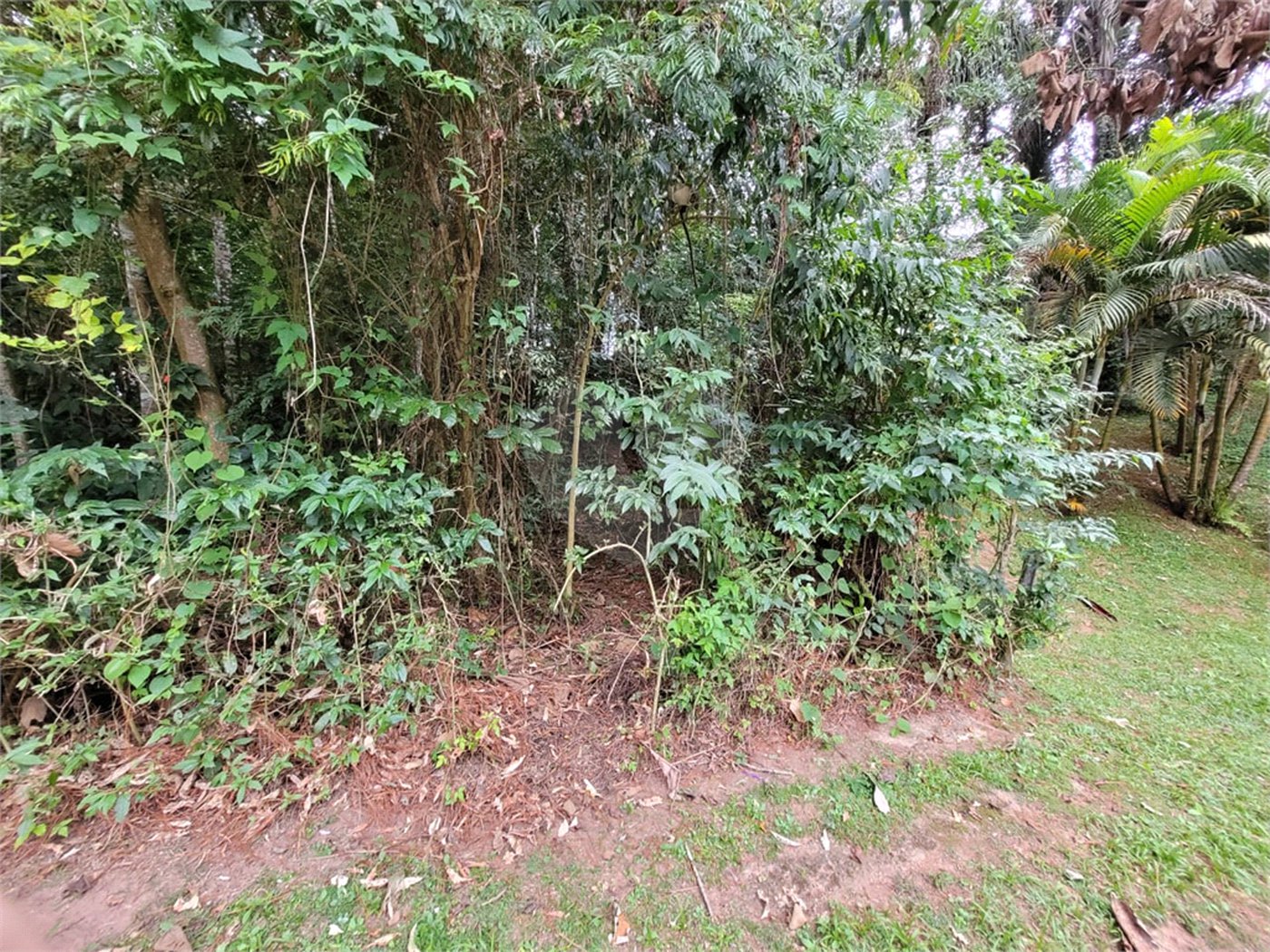 Terreno à venda no condomínio Cantareira, Mairiporã - SP