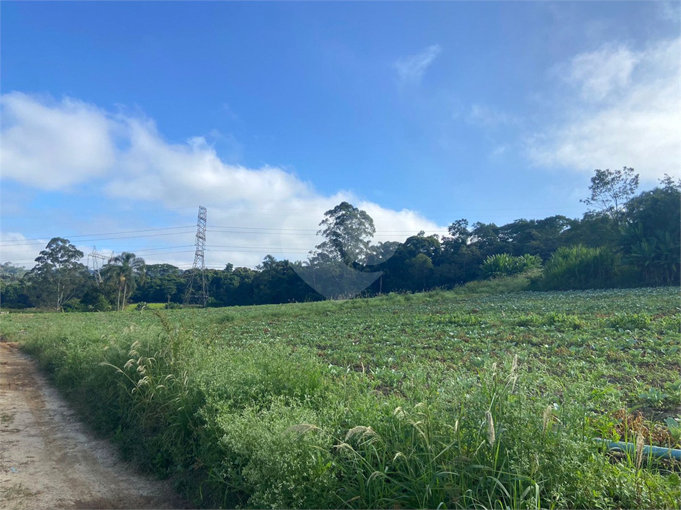Terreno à venda em Parque Santa Rosa, Suzano, SP