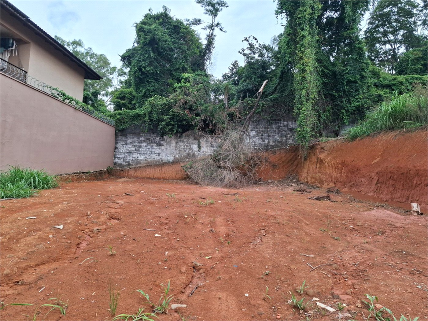 Terreno à venda em Vila Albertina, São Paulo, SP