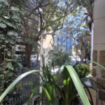 Casa à venda com 4 quartos, sendo 1 suíte, em Tijuca, Rio de Janeiro, RJ