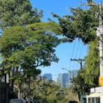 Sobrado para alugar com 5 quartos, sendo 4 suítes, em Jardim Everest, São Paulo, SP