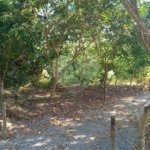 Casa à venda com 3 suítes no condomínio Associação dos Moradores do Loteamento Alto da Floresta, Bom Jesus dos Perdões - SP