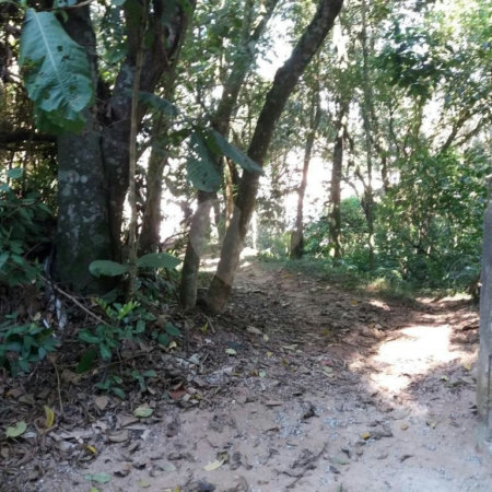 Terreno à venda em Tucuruvi, São Paulo, SP