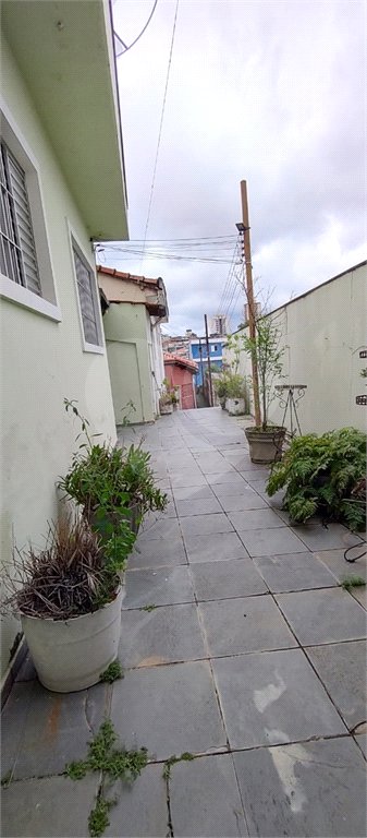 Casa à venda com 7 quartos em Vila Isolina Mazzei, São Paulo, SP