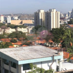 Apartamento à venda com 3 suítes em Alto da Boa Vista, São Paulo, SP