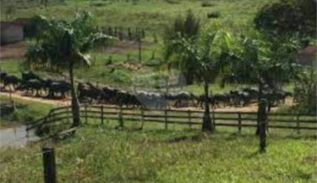 Fazenda à venda no Centro, Sete Barras, SP