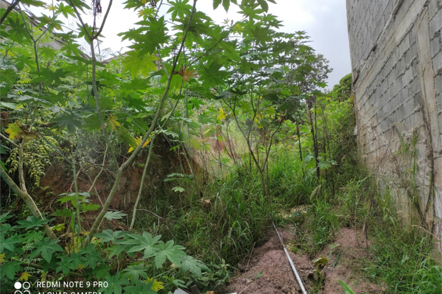 Terreno à venda em Santana, São Paulo, SP