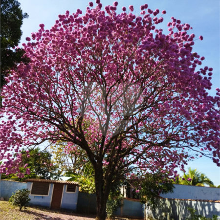 Terreno à venda no condomínio Terras de Santa Rosa II, Salto - SP