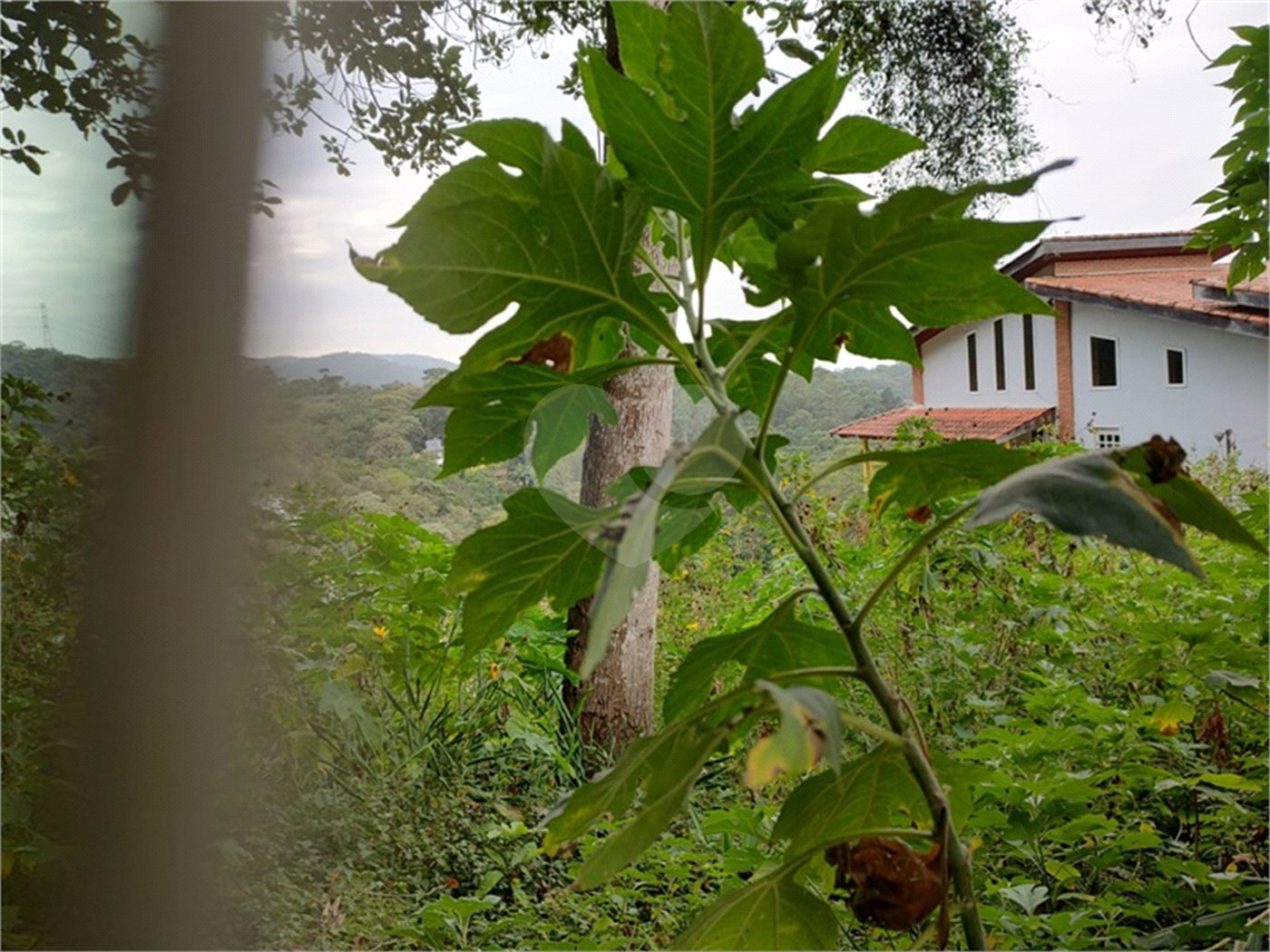 Terreno à venda em Barro Branco (zona Norte), São Paulo, SP