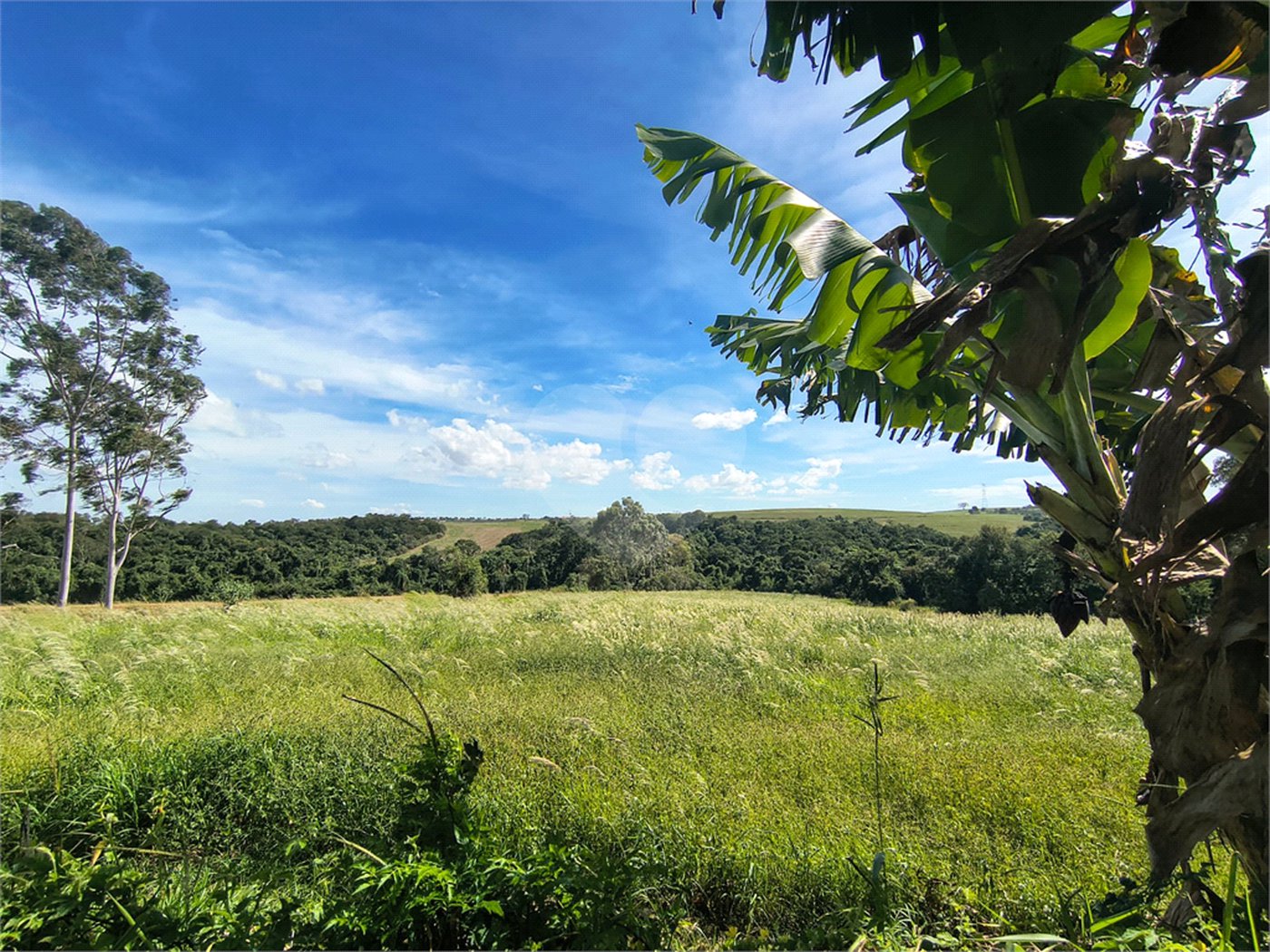 Sítio à venda com 3 quartos em Campo de Boituva, Boituva, SP