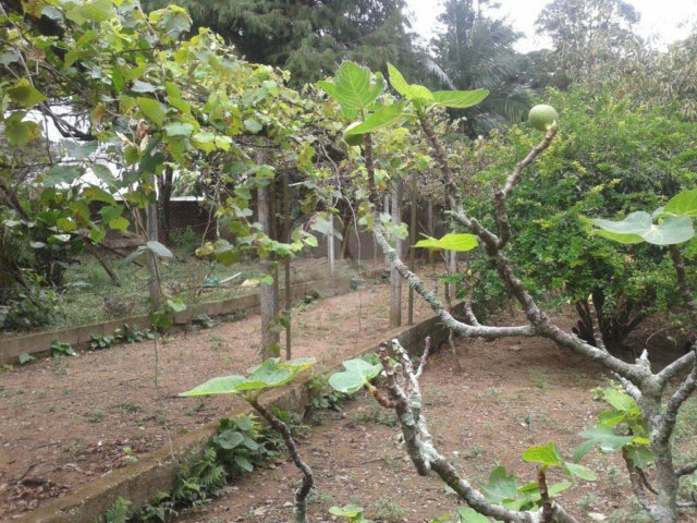 Terreno à venda em Horto Florestal, São Paulo, SP