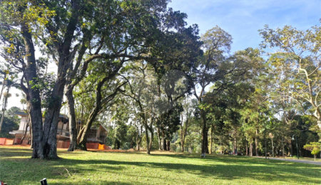 Terreno à venda no condomínio Chácara Santa Helena, São Paulo - SP