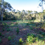 Terreno à venda no Centro (canguera), São Roque, SP