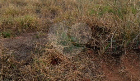 Terreno à venda com 1 suíte no condomínio Smart City Indaiá, Indaiatuba - SP