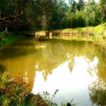 Fazenda à venda com 2 quartos em City Castello, Itu, SP
