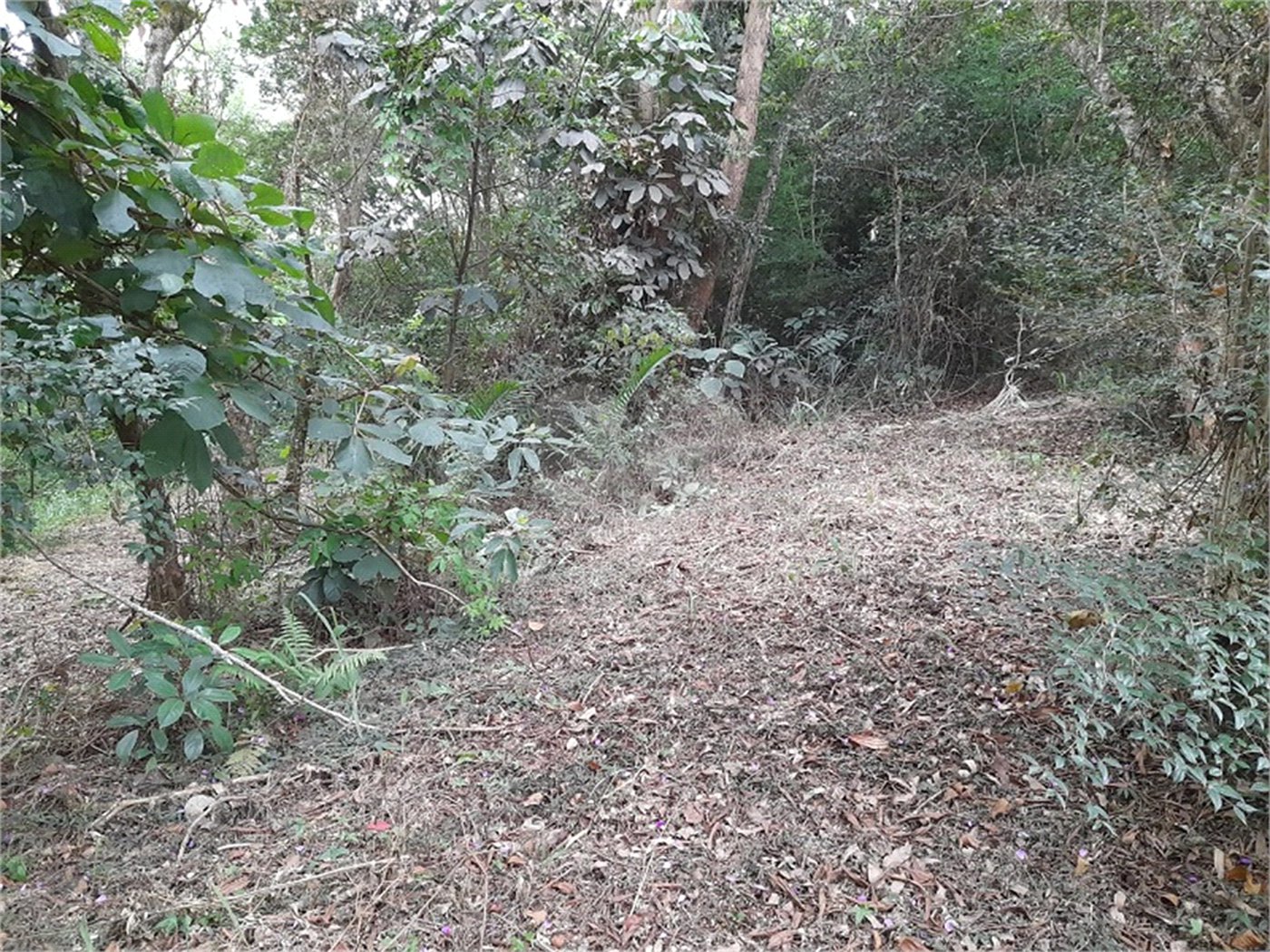 Terreno à venda em Chácaras Fernão Dias, Atibaia, SP