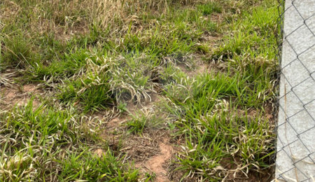 Terreno à venda em Recanto das Acácias, São Roque, SP