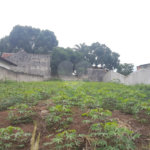 Terreno à venda em Jardim Paulista, Atibaia, SP