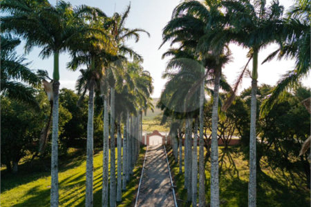 Terreno em condomínio à venda em Golfe, Armação dos Búzios, RJ