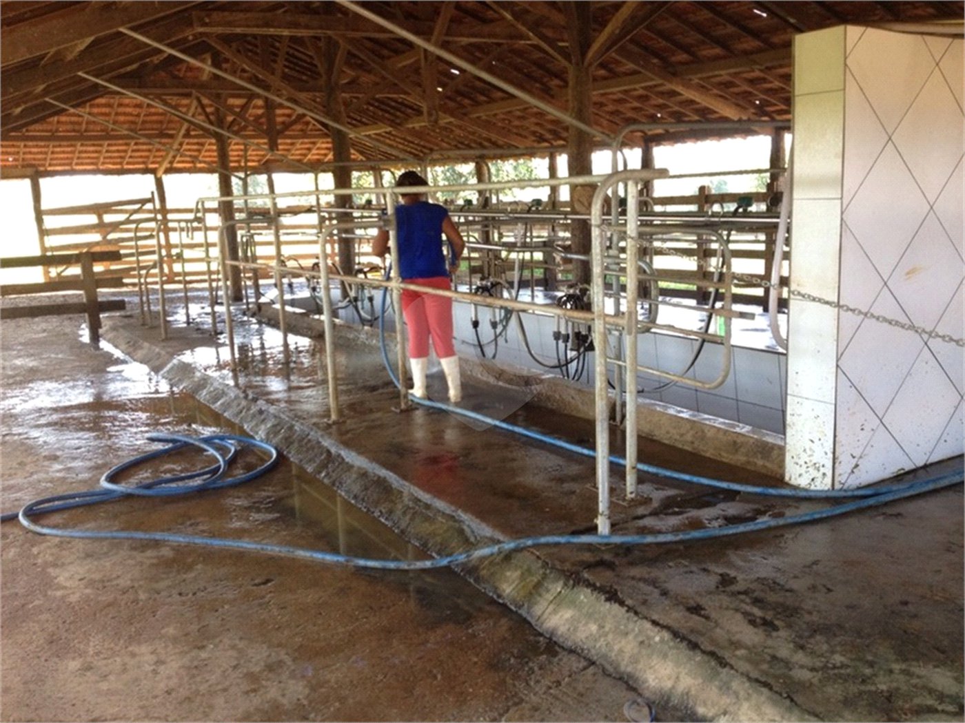 Fazenda à venda com 2 quartos em Canabrava, João Pinheiro, MG