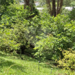 Apartamento à venda com 3 quartos, sendo 1 suíte, em Planalto, São Bernardo do Campo, SP