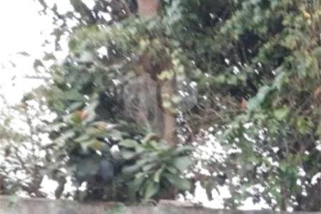 Terreno à venda no condomínio Jd Leonor, São Paulo - SP