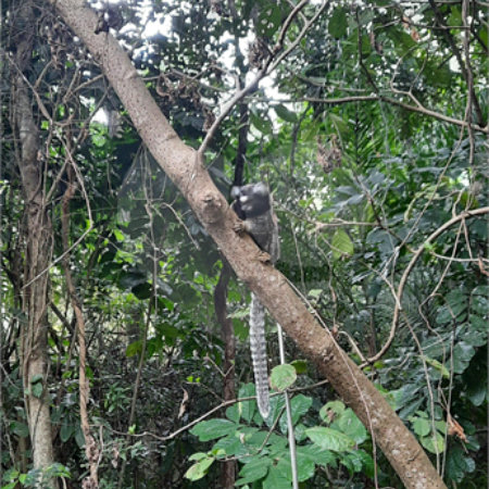 Terreno à venda em Tucuruvi, São Paulo, SP