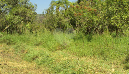 Chácara à venda com 1 quarto em Cruz das Almas, Biritiba-mirim, SP