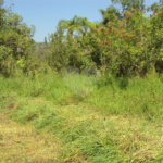 Chácara à venda com 1 quarto em Cruz das Almas, Biritiba-mirim, SP